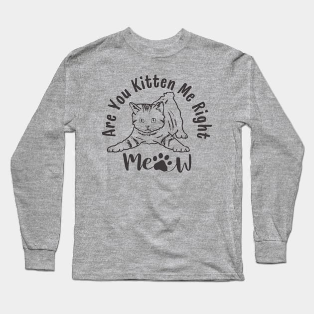 Are You Kitten Me Right Meow Funny Cat Lover Quote Long Sleeve T-Shirt by Illustradise